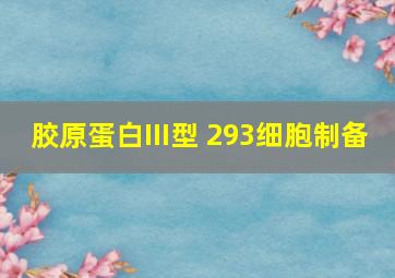 胶原蛋白III型 293细胞制备